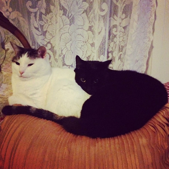 RE-clectic Boutique - Picture 2 of 4